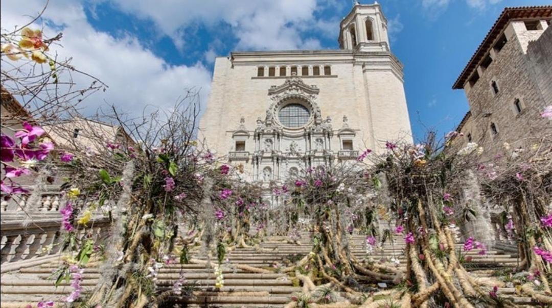 Apartmán Global Immo 3347 La Solana Roses Exteriér fotografie